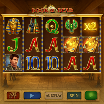WinBay - Book of Dead Slot Game - Play'n GO Pokie