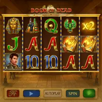 WinBay - Book of Dead Slot Game - Play'n GO Pokie
