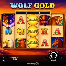 WinBay - Wolf Gold Slot Game - Pragmatic Play Pokie